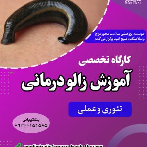 کارگاه زالودرمانی